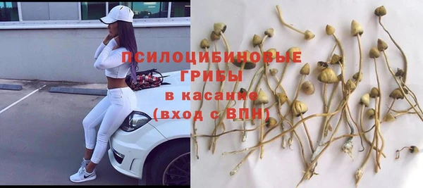 спиды Ладушкин