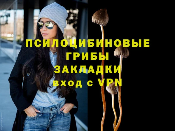 прущая мука Лагань