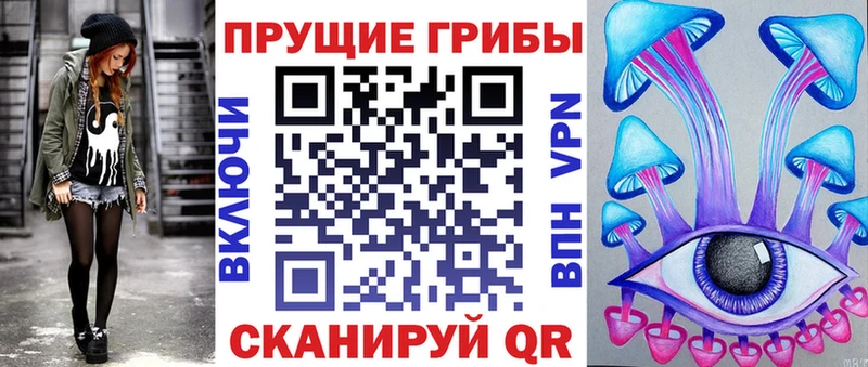 продажа наркотиков  Санкт-Петербург  Псилоцибиновые грибы Cubensis 