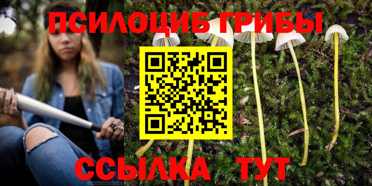 Галлюциногенные грибы мицелий  продажа наркотиков  Санкт-Петербург  Вход с VPN  Псилоцибиновые грибы Cubensis 
